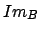 $ Im_{B}$
